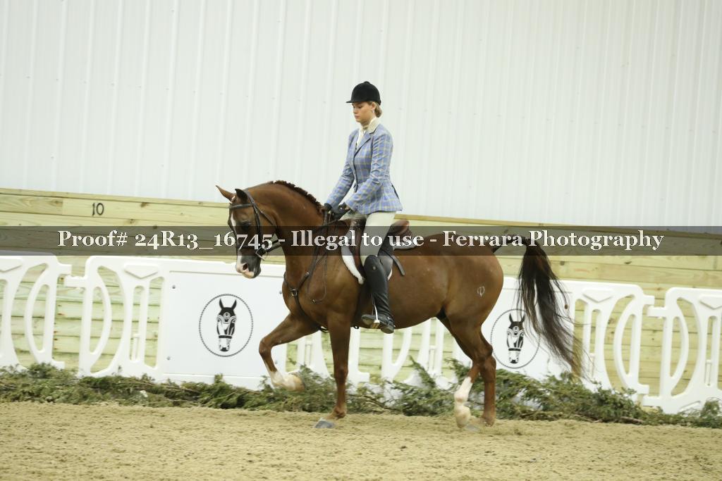 Proof 24R13_16745