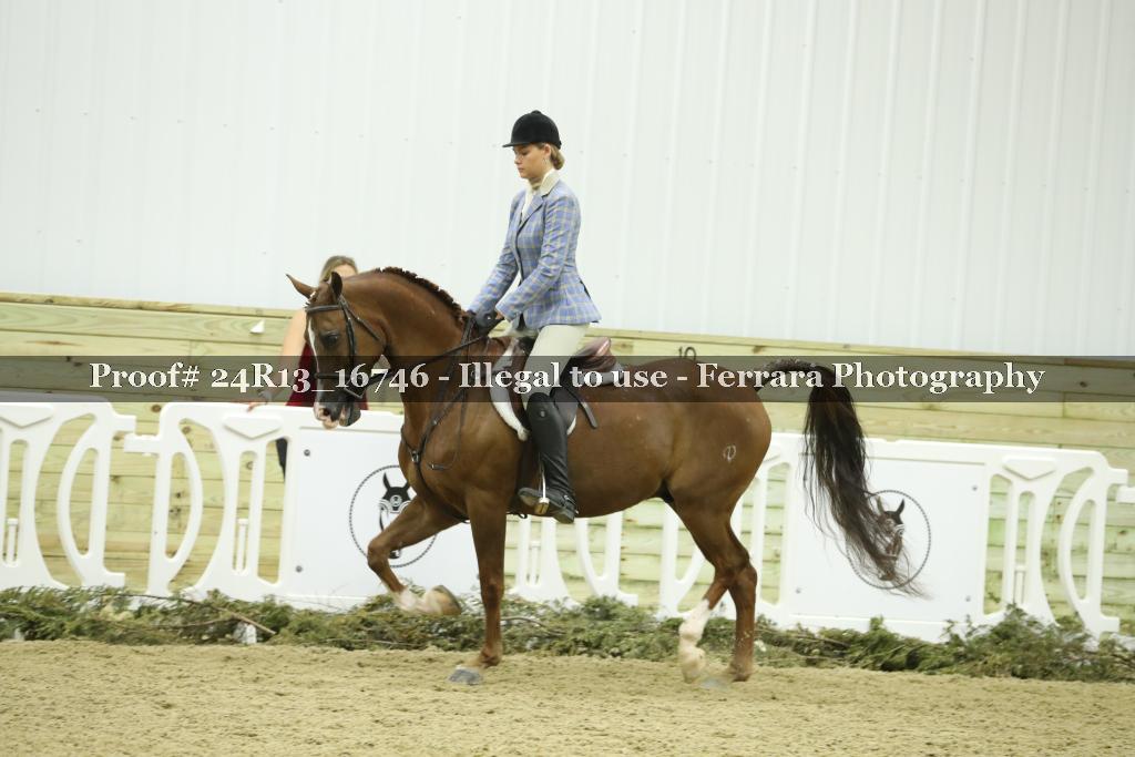 Proof 24R13_16746