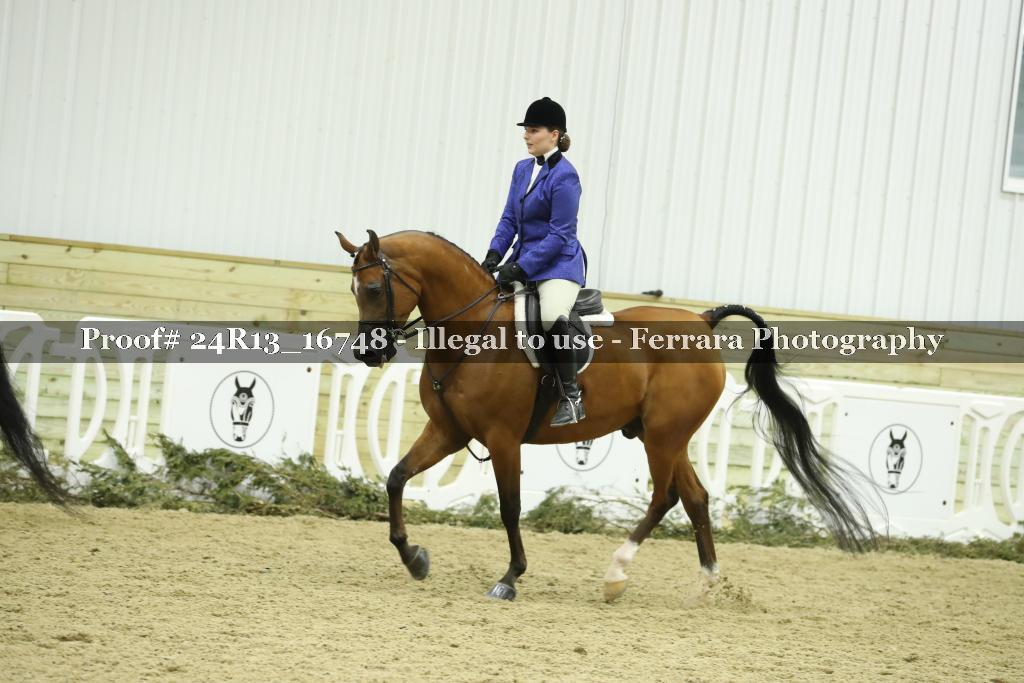 Proof 24R13_16748