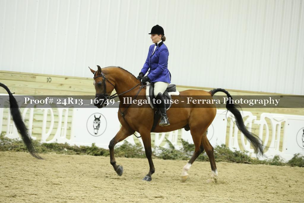 Proof 24R13_16749