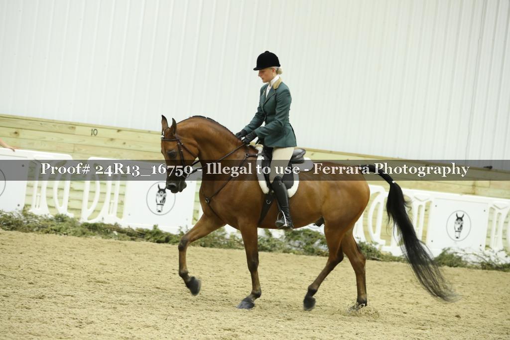 Proof 24R13_16750