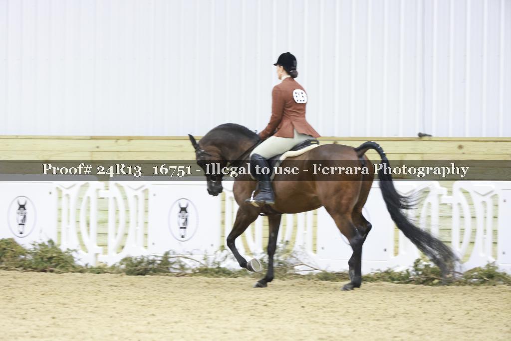 Proof 24R13_16751