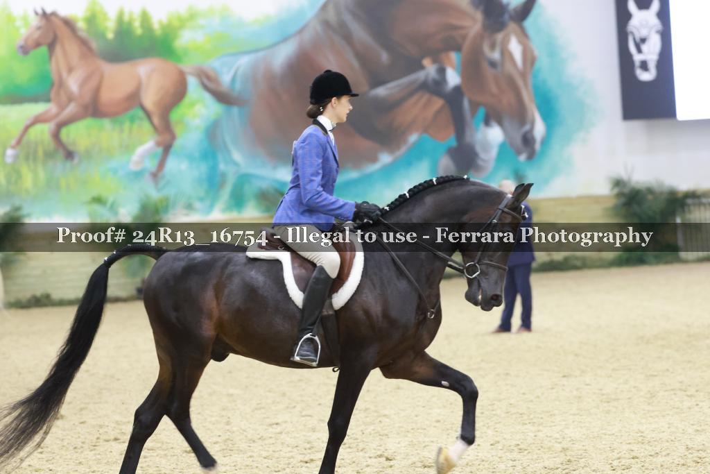 Proof 24R13_16754