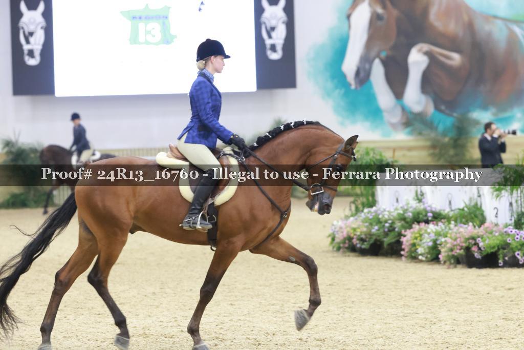 Proof 24R13_16760