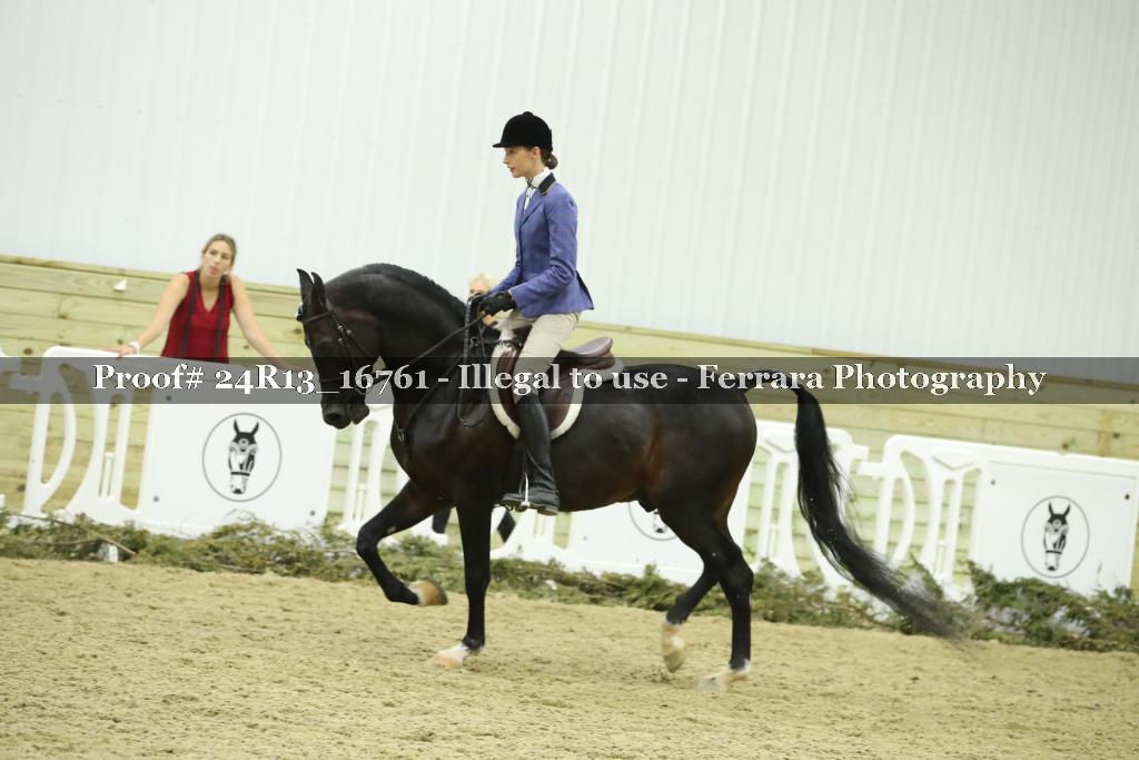 Proof 24R13_16761