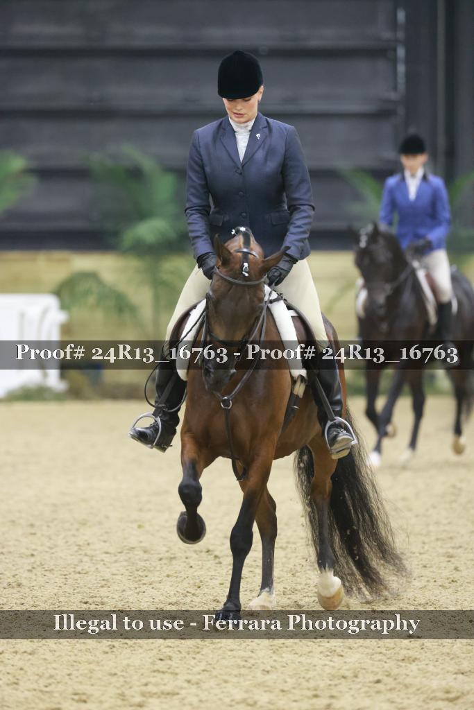 Proof 24R13_16763