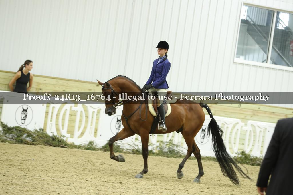 Proof 24R13_16764