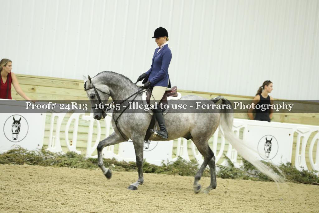Proof 24R13_16765