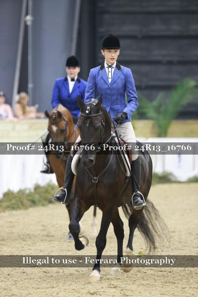 Proof 24R13_16766