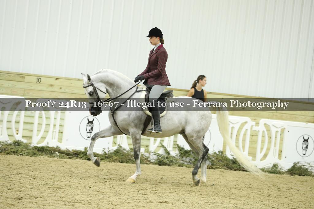 Proof 24R13_16767