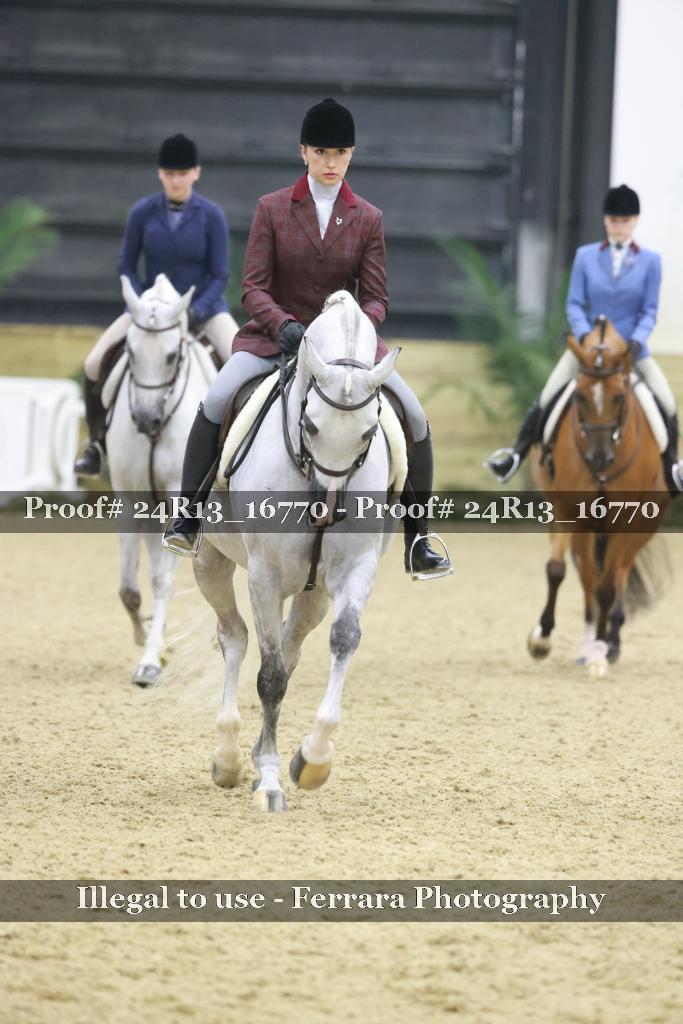 Proof 24R13_16770