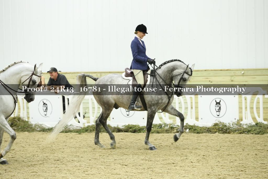 Proof 24R13_16781