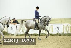 24R13_16781 proof