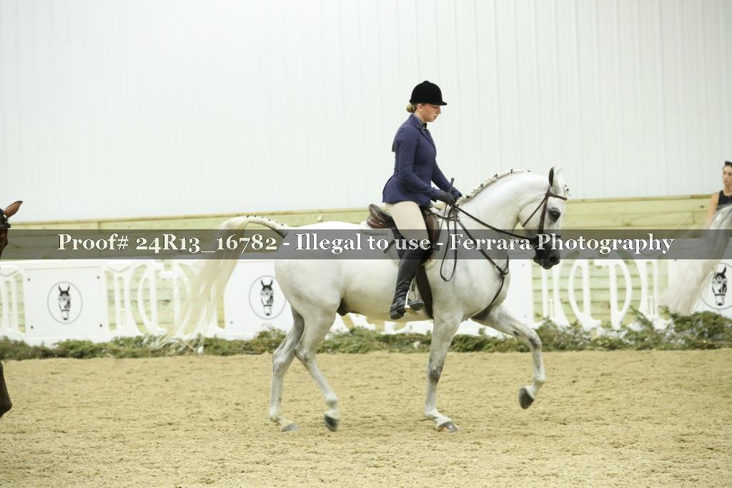 Proof 24R13_16782