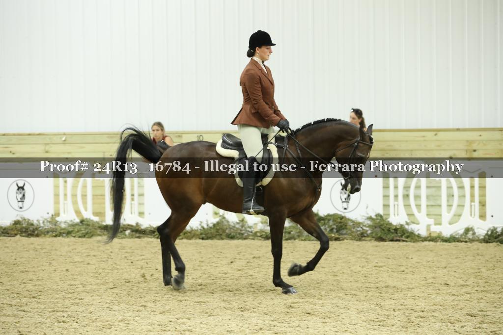 Proof 24R13_16784