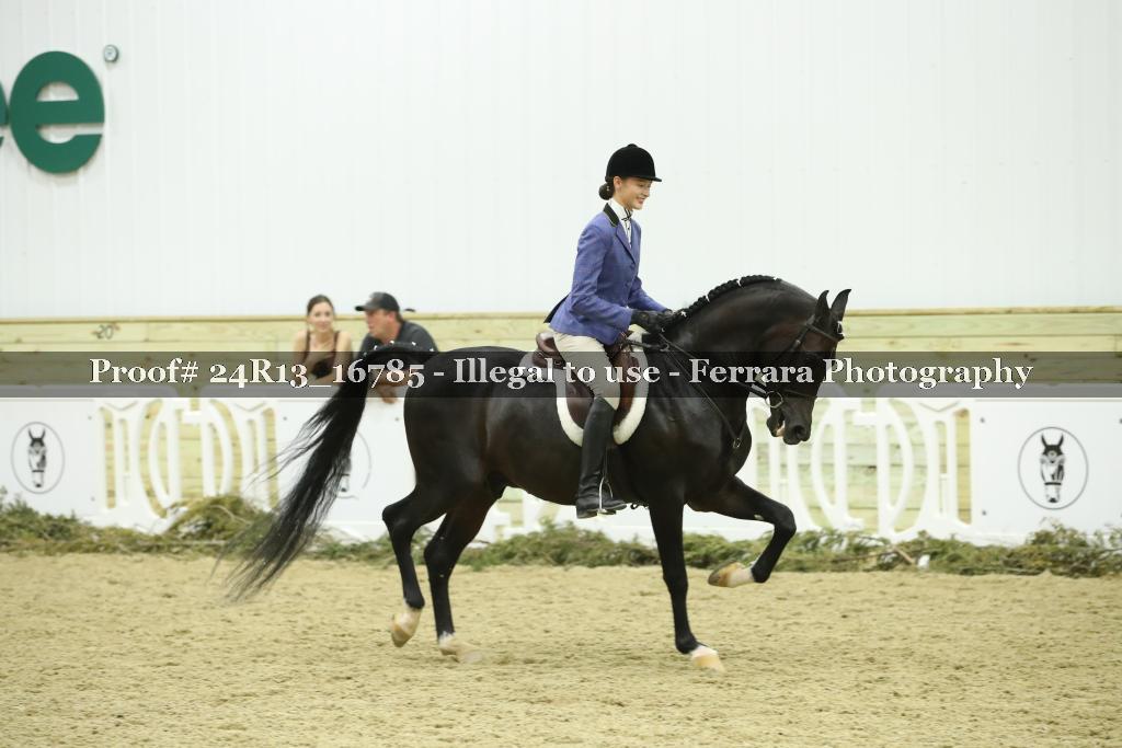 Proof 24R13_16785