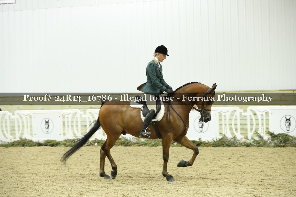 Proof 24R13_16786