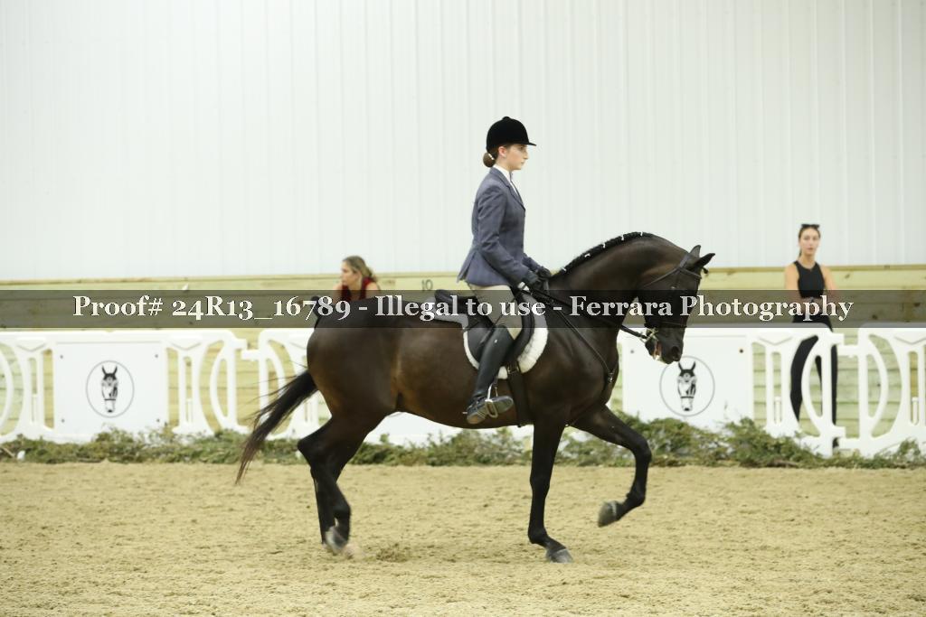 Proof 24R13_16789