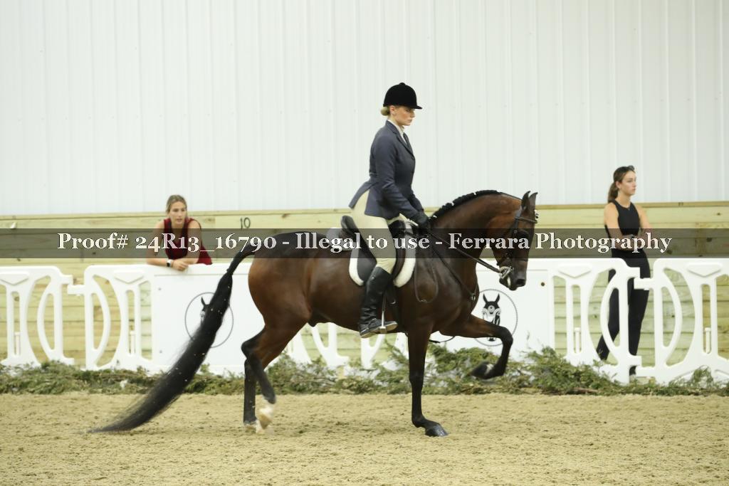 Proof 24R13_16790