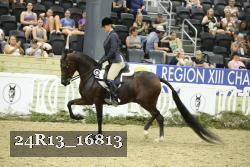 24R13_16813 proof