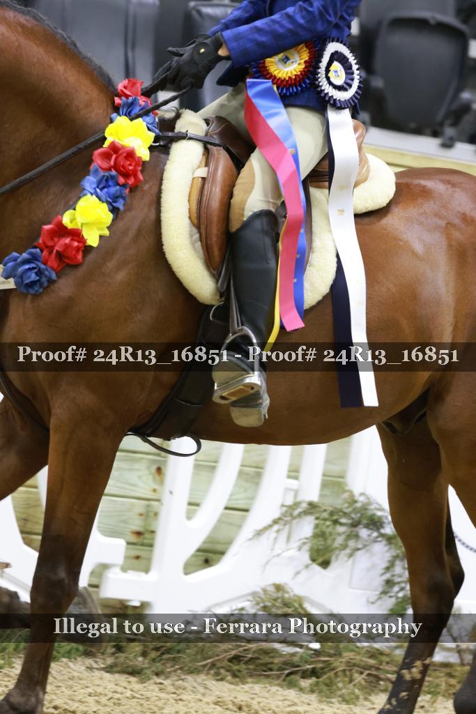 Proof 24R13_16851