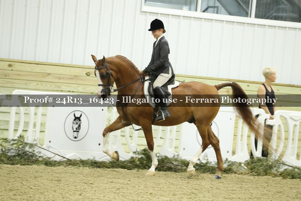Proof 24R13_16423
