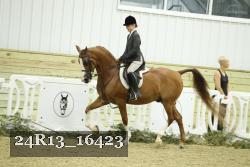 24R13_16423 proof