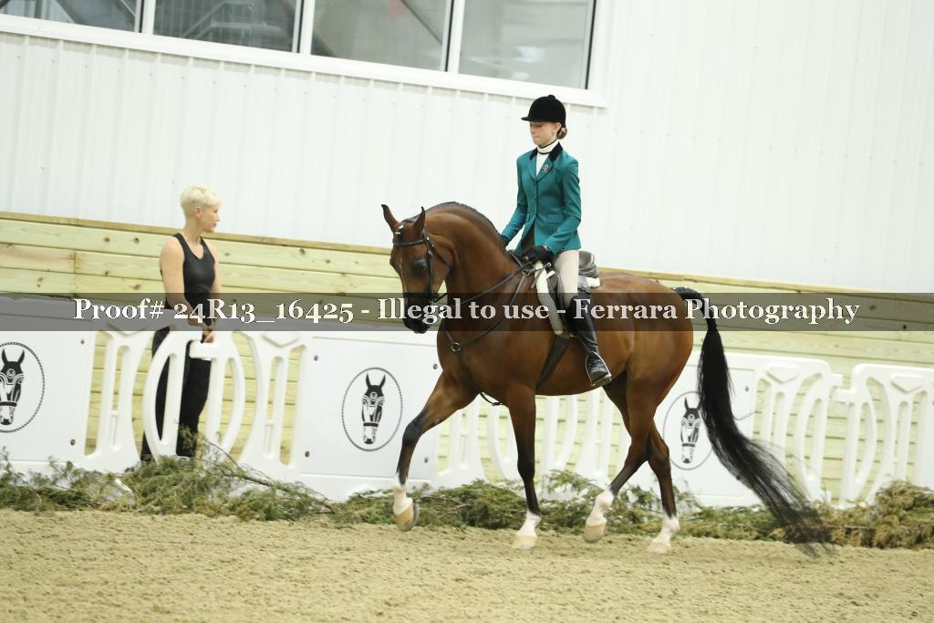 Proof 24R13_16425