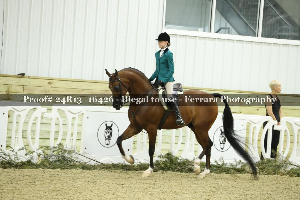 Proof 24R13_16426