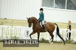 24R13_16426 proof