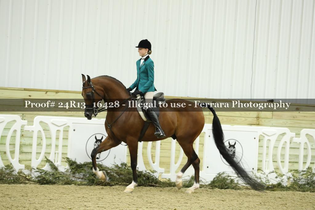 Proof 24R13_16428
