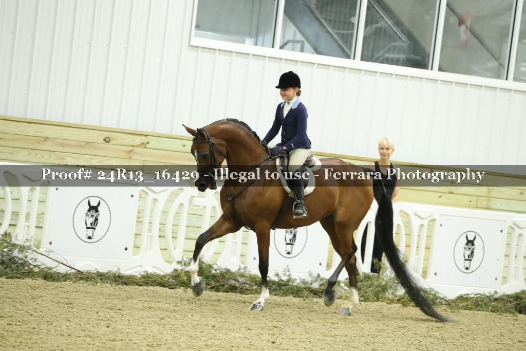 Proof 24R13_16429
