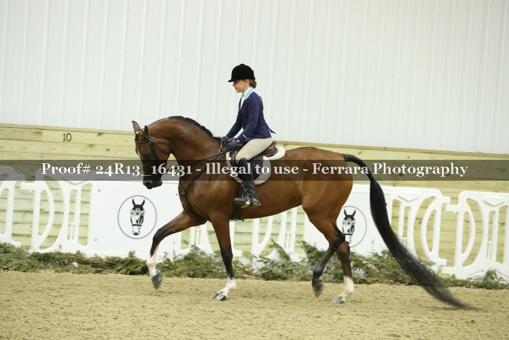 Proof 24R13_16431