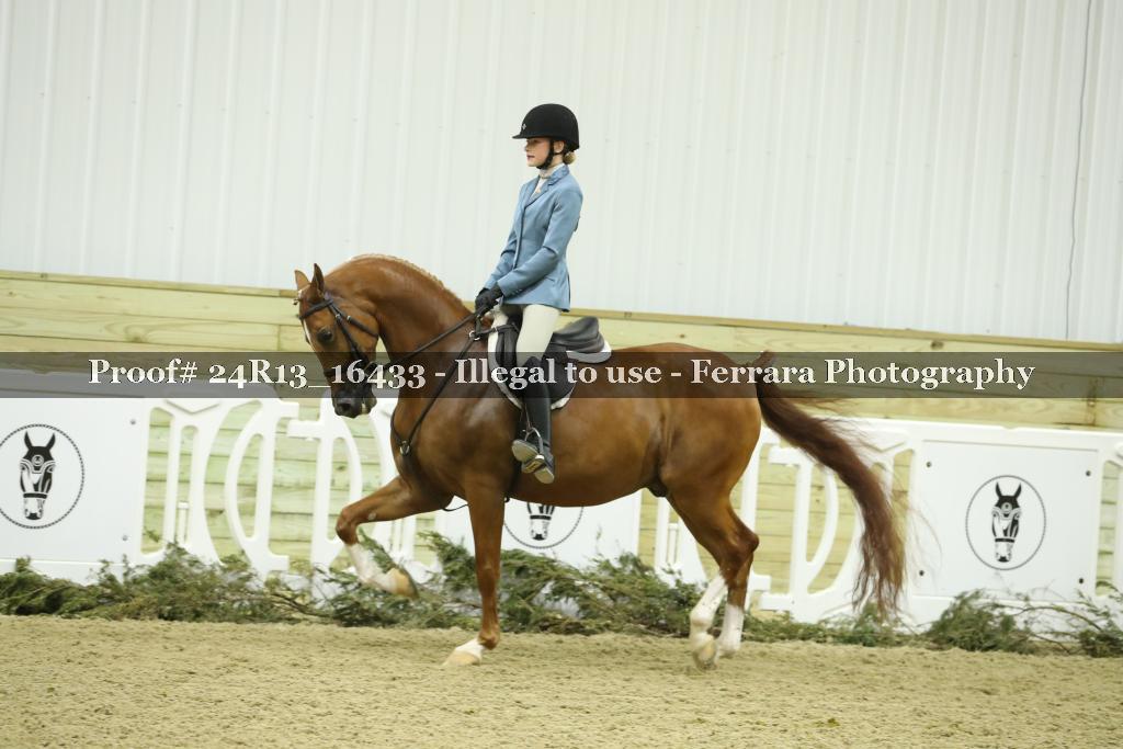Proof 24R13_16433