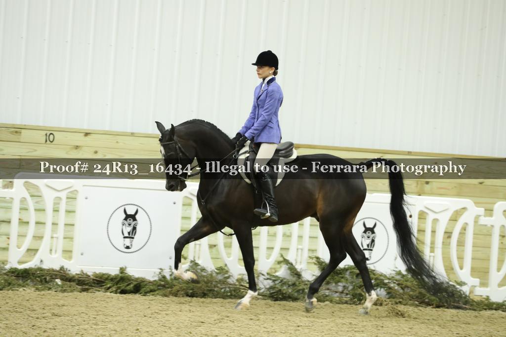 Proof 24R13_16434
