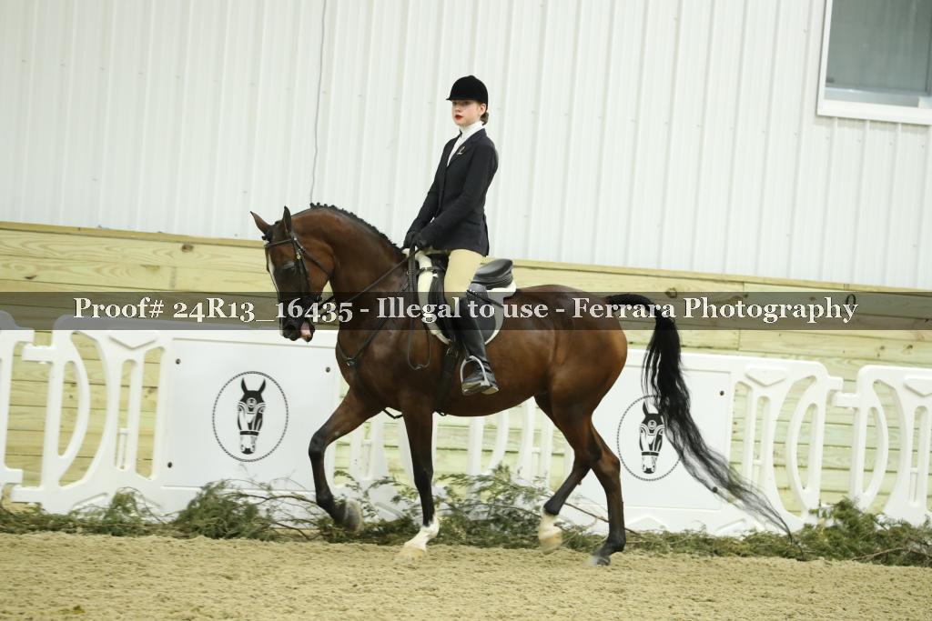 Proof 24R13_16435