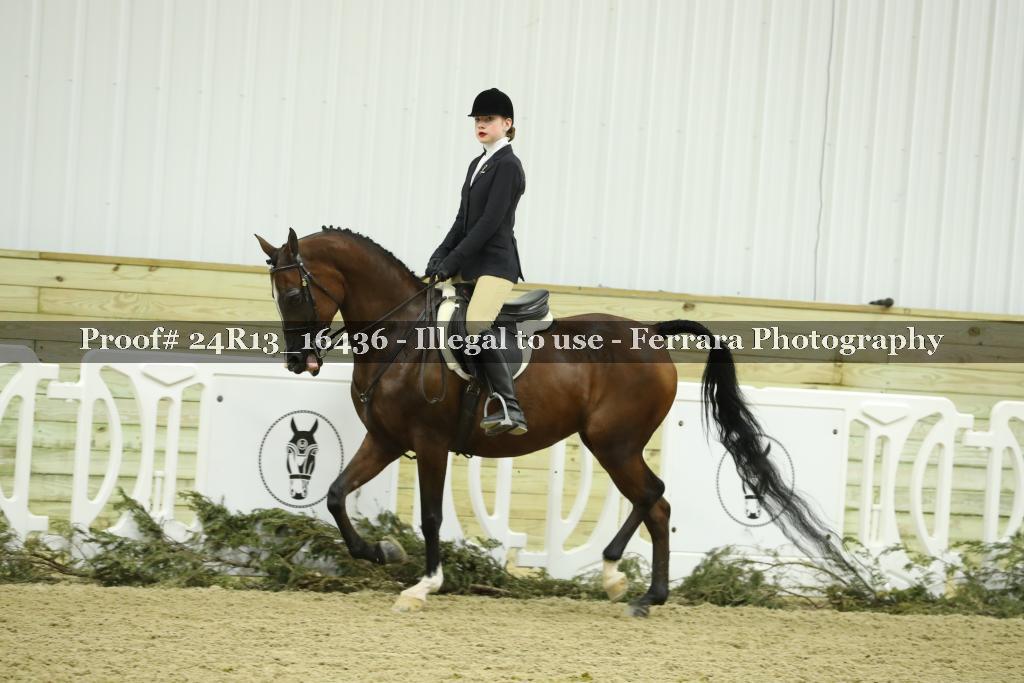 Proof 24R13_16436