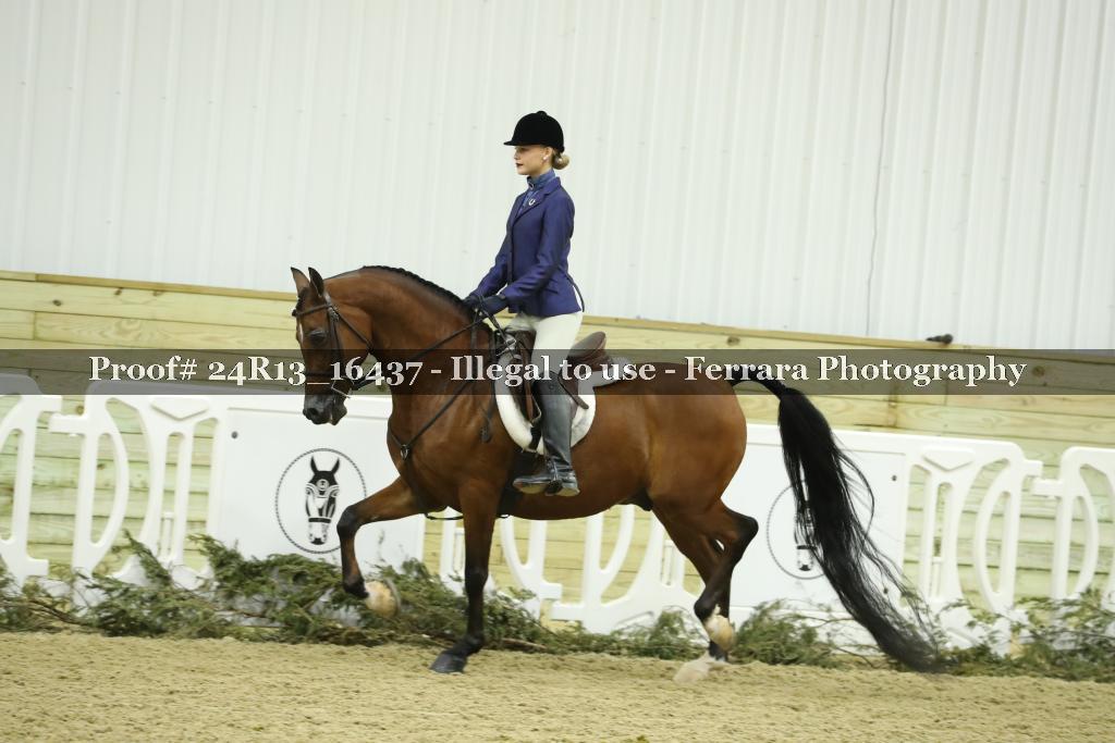 Proof 24R13_16437