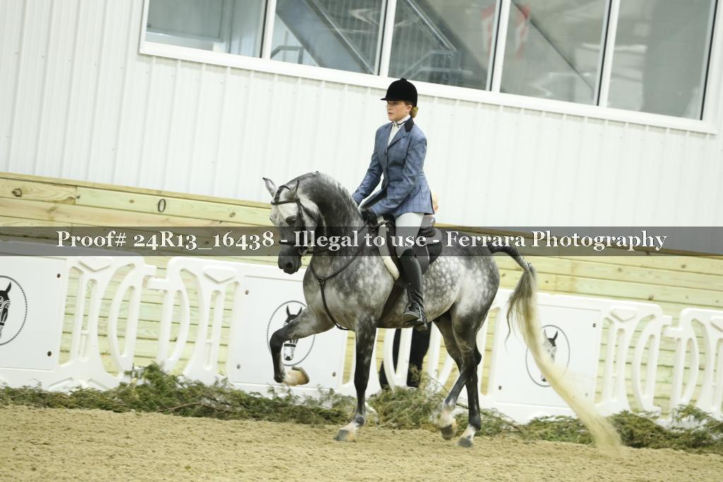 Proof 24R13_16438