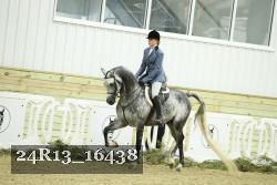 24R13_16438 proof