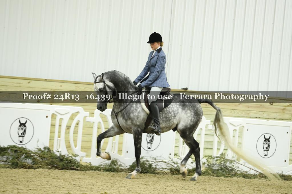 Proof 24R13_16439