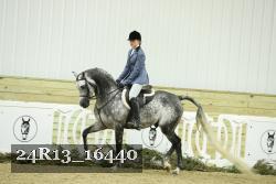24R13_16440 proof