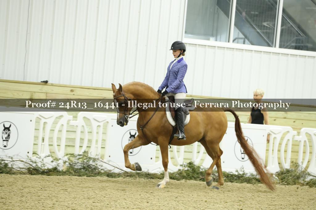 Proof 24R13_16441