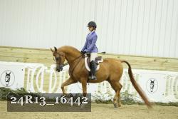 24R13_16442 proof