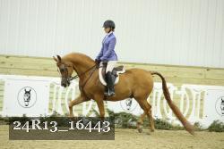 24R13_16443 proof