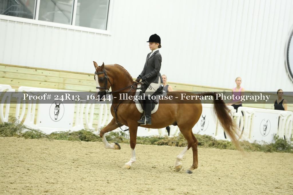 Proof 24R13_16444