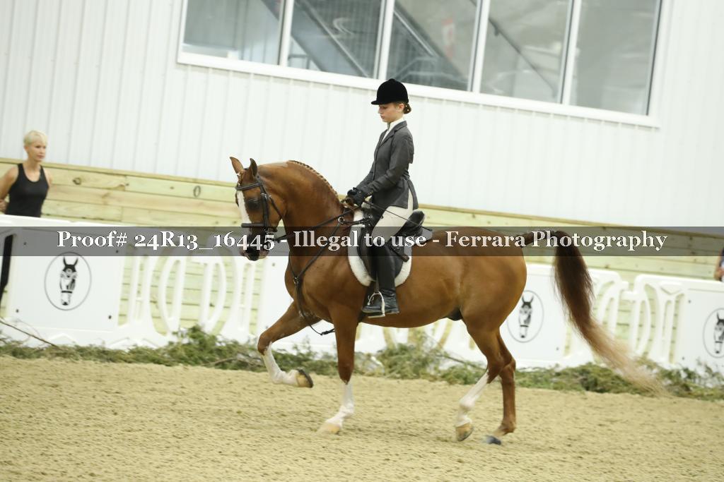 Proof 24R13_16445