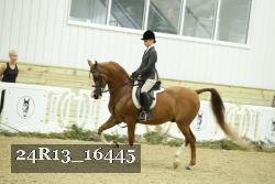 24R13_16445 proof