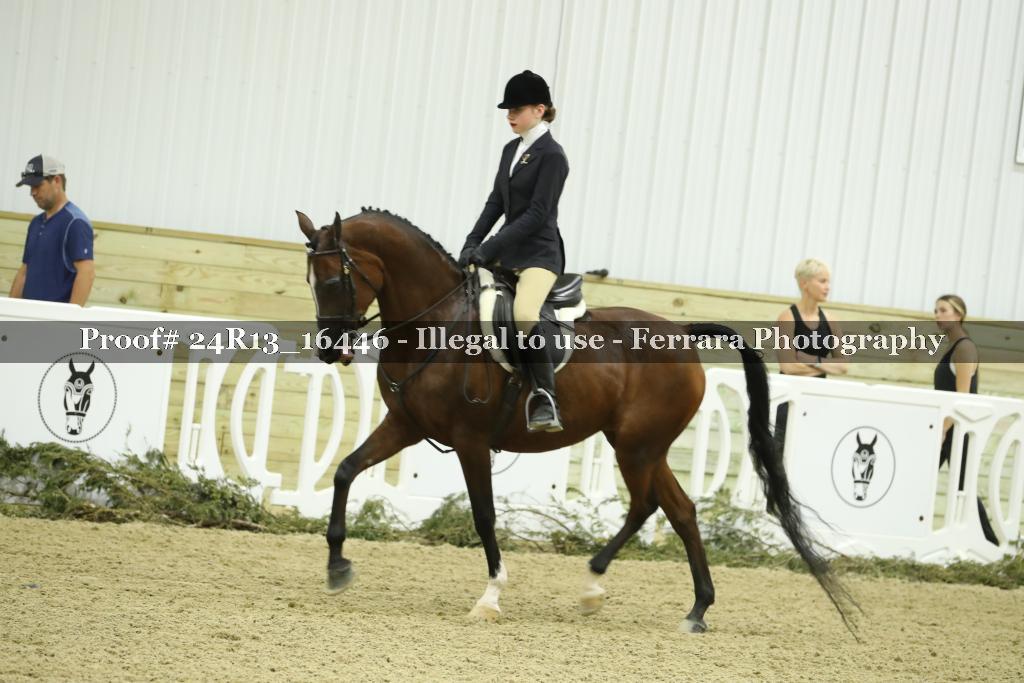 Proof 24R13_16446
