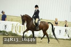 24R13_16446 proof